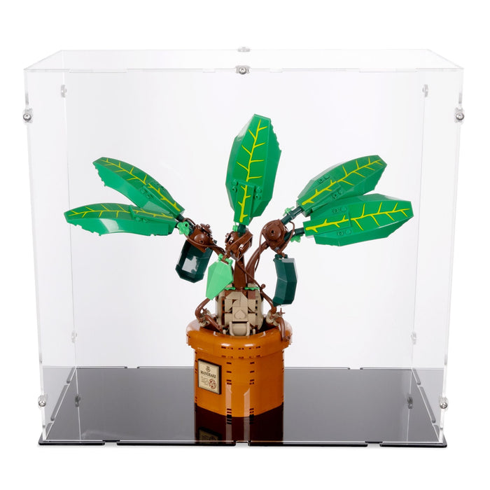 39 x 21 x 36cm Display Case