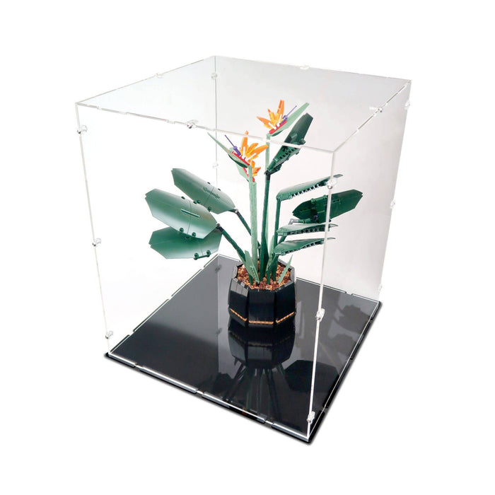 39 x 39 x 47cm Display Case