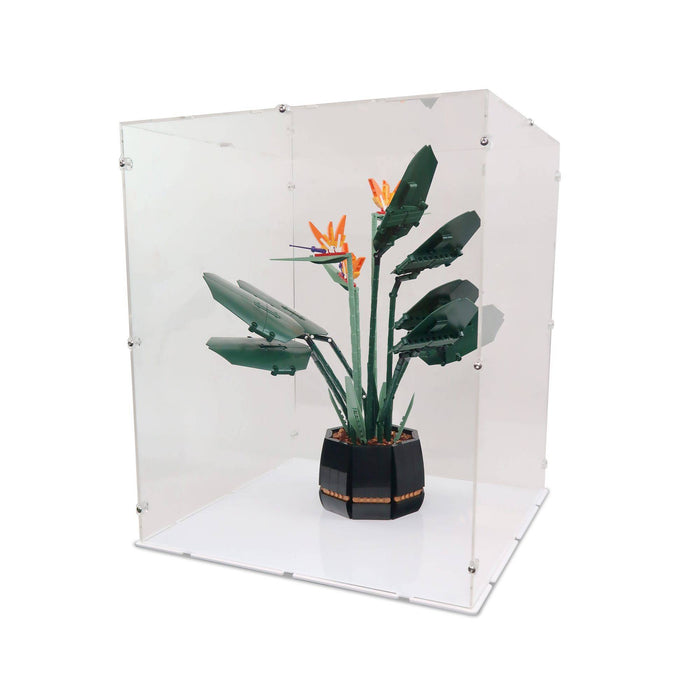 39 x 39 x 47cm Display Case