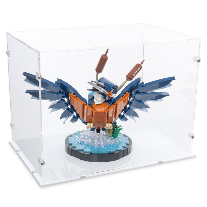 Kingfisher Bird Display Case for LEGO 10331