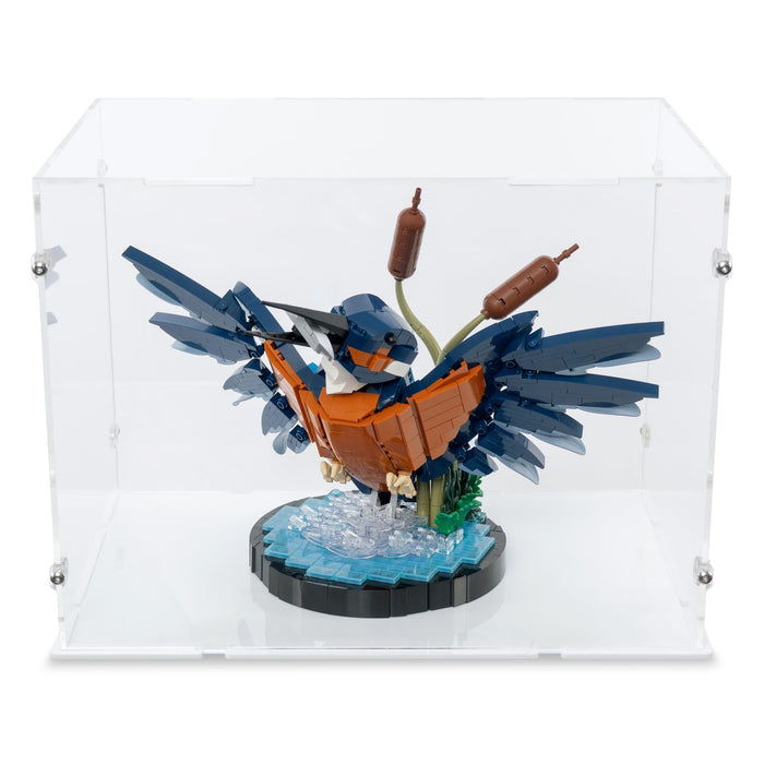 Kingfisher Bird Display Case for LEGO 10331